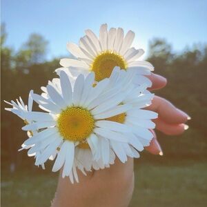 ✨Meet your Posher, Jenny ✨